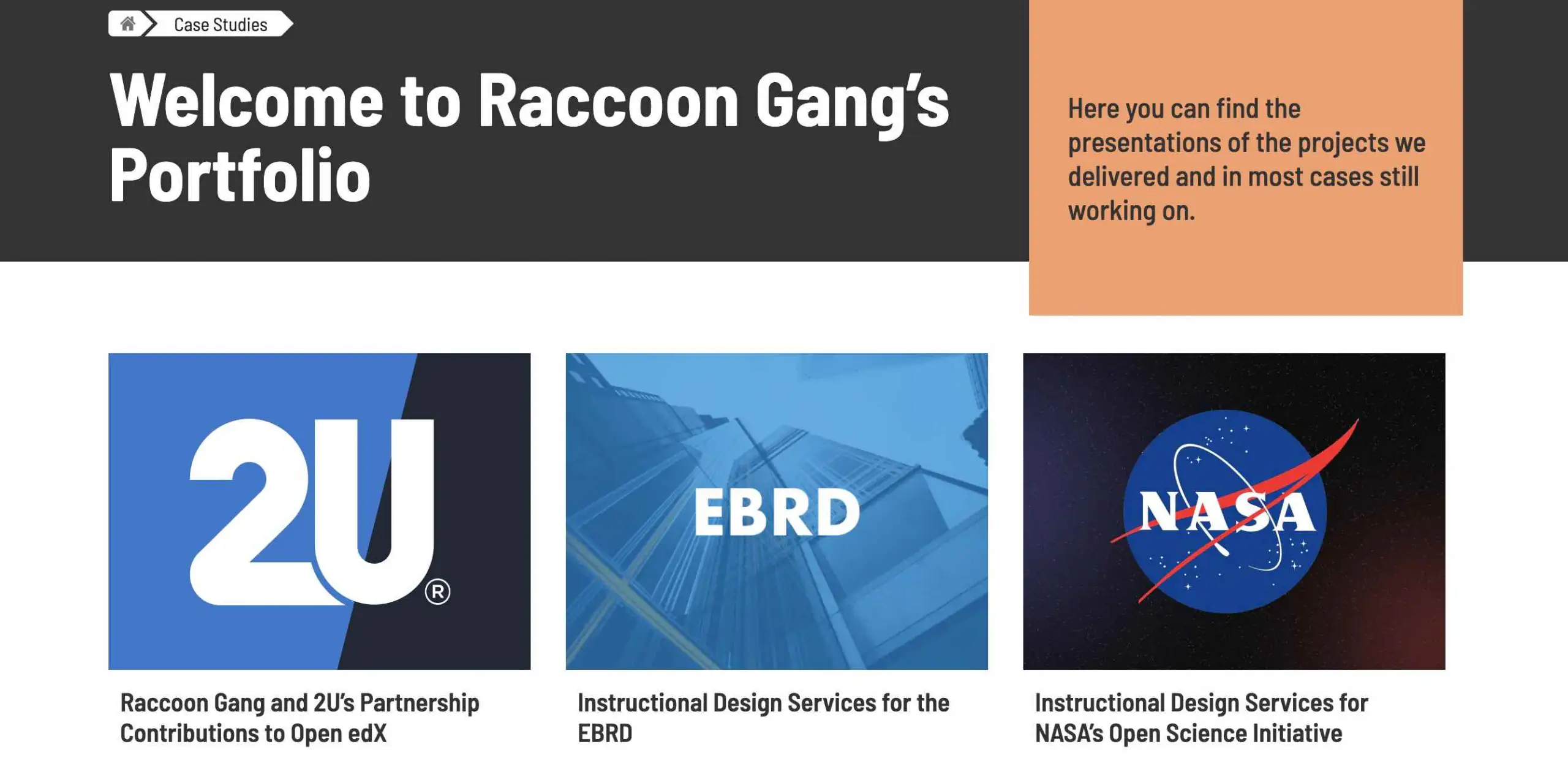 Raccoon Gang’s Portfolio