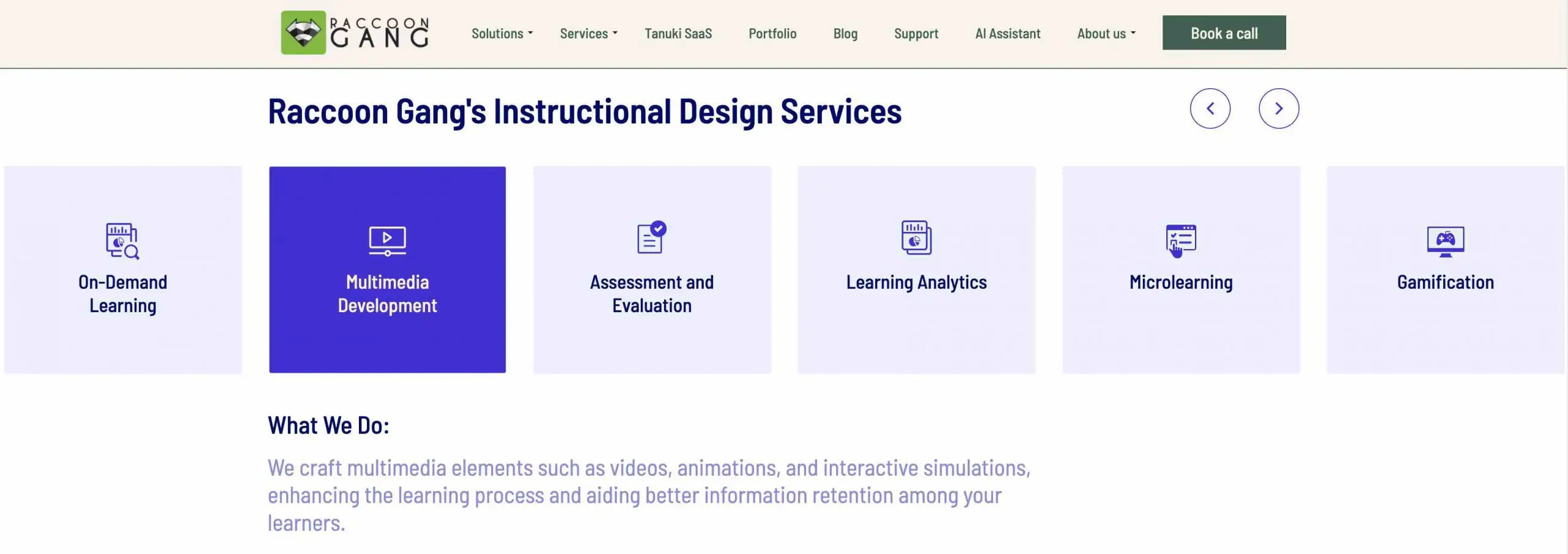 Raccoon Gang's Instructional Design Services