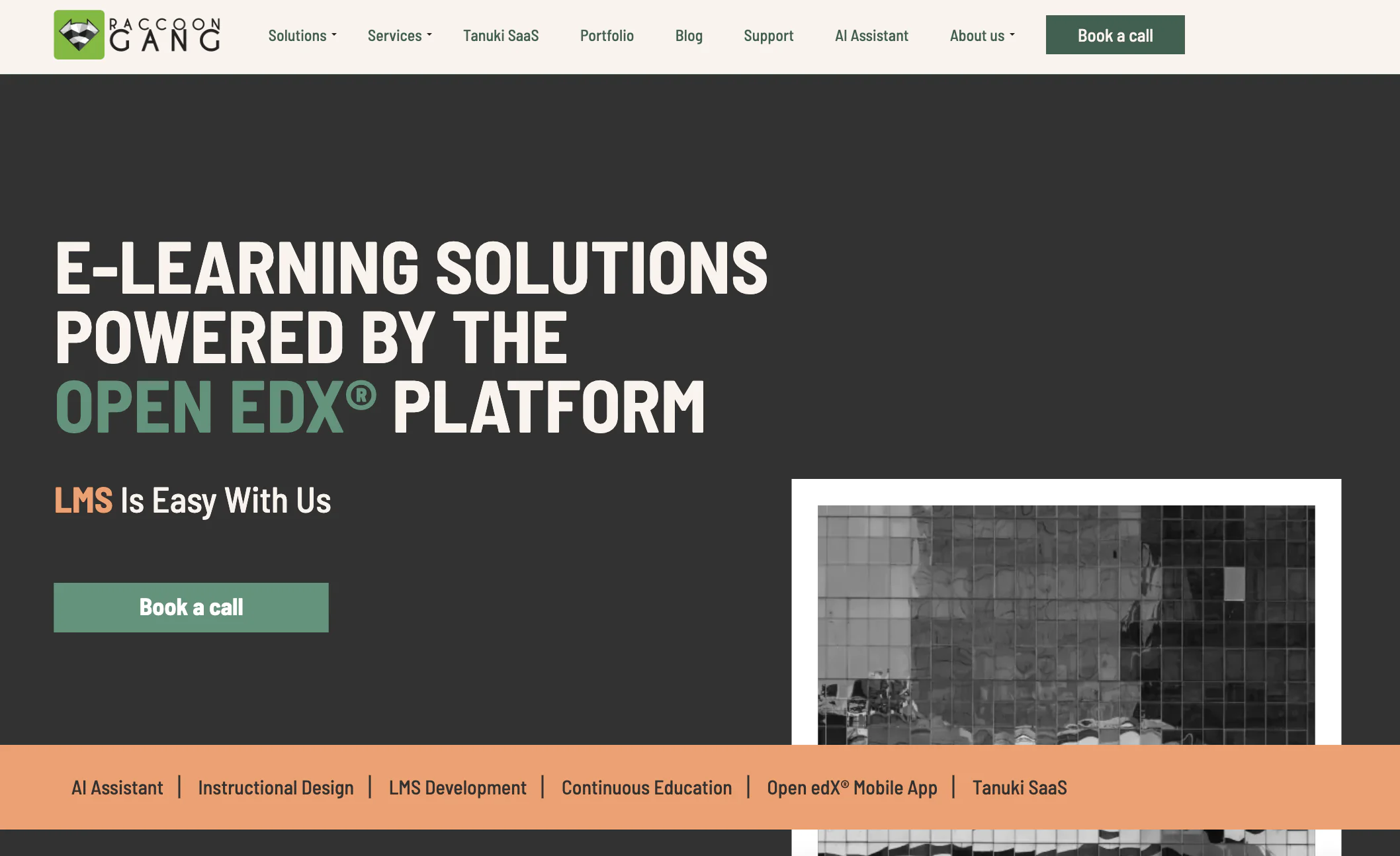 Raccoon Gang’s Open edX-based Solution