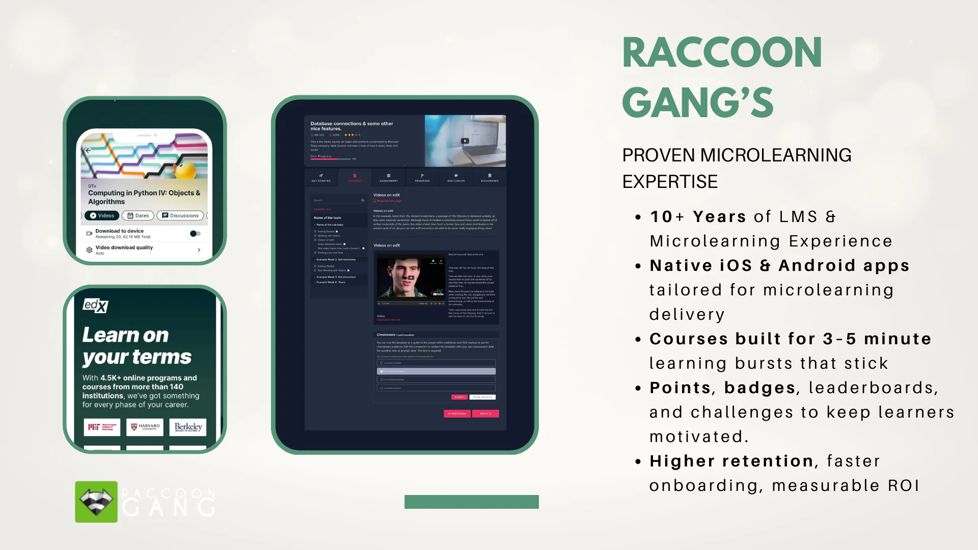 raccoon-gang-microlearning-expertise